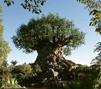 Animal Kingdom